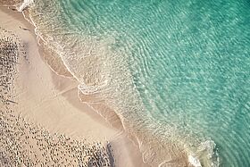 Bahamas - The Ocean Club, A Four Seasons Resort Bahamas - The Ocean Club, A Four Seasons Resort
