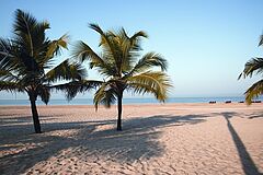The Leela Goa Strand Palmen Strand Palmen The Leela Goa