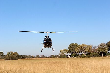 Ein ganz besonderes Highlight ist ein Panoramaflug im Helikopter entlang der Skelettküste mit ihren Schiffswracks. Der Flug führt über fantasievoll geformte Dünenfelder, die in verschiedenen Rot-, Gelb- und Ockertönen schimmern. Anschließend fahren Sie im Geländewagen durch die Dünenlandschaft des Nationalparks und besuchen eine Seehundkolonie. 