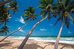 Haritha Villas & Spa Beach Beach Haritha Villas & Spa