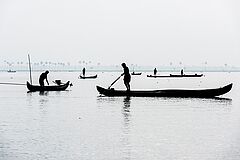 Purity at Lake Vembanad Boote Boote Purity at Lake Vembanad