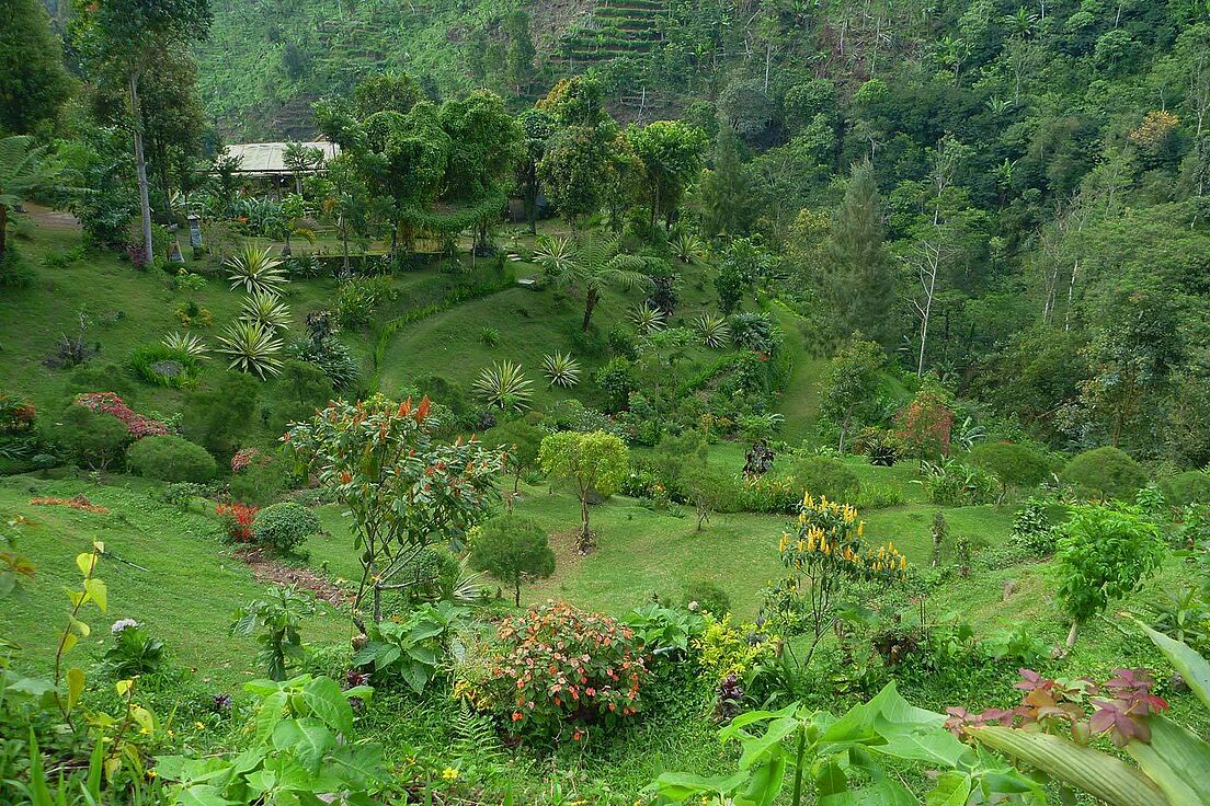 Indonesoien