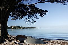The Boatshed Strand Strand The Boatshed