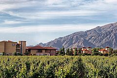 Grace Cafayate Wine Wine Grace Cafayate