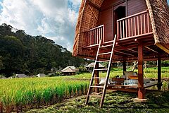 Mandapa, a Ritz Carlton Reserve Picknick Picknick Mandapa, a Ritz Carlton Reserve