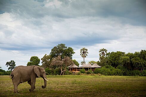 Okavango Delta -  Mombo Camp & Little Mombo