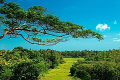 Haritha Villas & Spa Landschaft Landschaft Haritha Villas & Spa