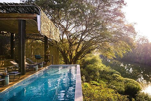 Krüger Nationalpark -  Singita Sweni
