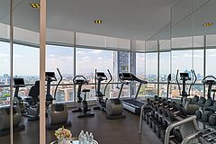 St. Regis Mexiko City Fitness Fitness St. Regis Mexiko City