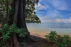 Alila Villas Koh Russey Natur Natur Alila Villas Koh Russey