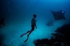 Schwimmen mit Mantas Soneva Fushi