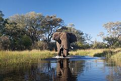 Sanctuary Stanley's Camp Elefant Elefant Sanctuary Stanley's Camp