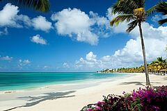 Rosewood Jumby Bay Beach Beach Rosewood Jumby Bay