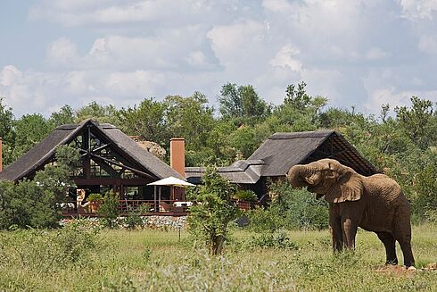 Madikwe Game Reserve -  Mateya Safari Lodge