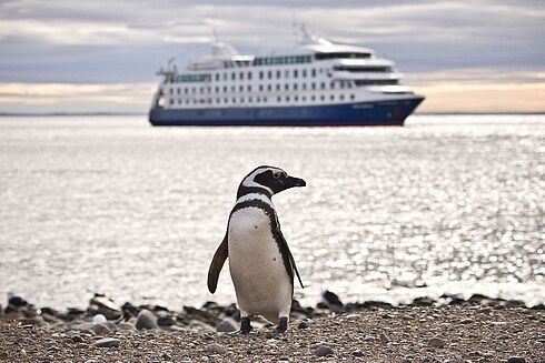 Patagonien -  Cruceros Australis
