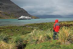 Grüne Landschaft Silver Cloud Expedition Silver Cloud Expedition Grüne Landschaft