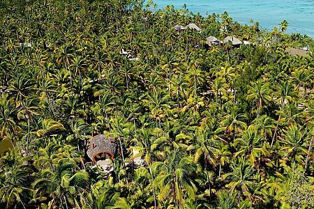 Was früher die private Sommerresidenz der Könige Tahitis und später der paradiesische Zufluchtsort von Marlon Brando war, beherbergt heute das einzigartige Luxushotel The Brando. Auf der privaten Insel Tetiaroa inmitten Französisch Polynesiens erleben Sie Luxus und Privatsphäre auf höchstem Niveau.