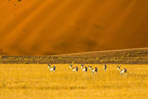 Afrika Afrika
