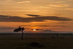 Angama Mara Sonnenaufgang Sonnenaufgang Angama Mara