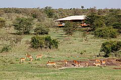 Mara Bushtops Lodge Lodge Mara Bushtops