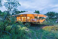 Serengeti Bushtops Zelt Zelt Serengeti Bushtops
