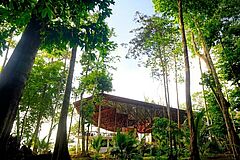 Tree Borneo Eagle Resort