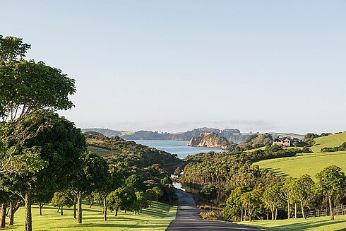 Bay of Islands -  The Landing