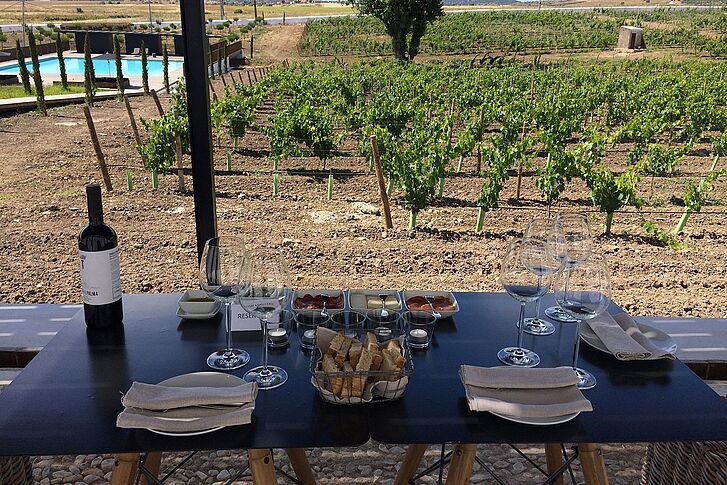 Torre de Palma Wine Hotel Wine Tasting Wine Tasting Torre de Palma Wine Hotel