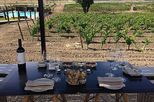 Alentejo -  Torre de Palma Wine Hotel