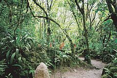 Genießen Sie die Schoenheit der Natur