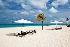 Bucuti & Tara Beach Resort Strand Strand Bucuti & Tara Beach Resort