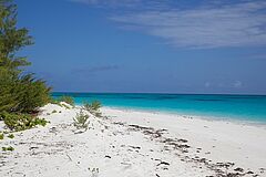 Mnemba Island Lodge Weisser Sandstrand Weisser Sandstrand Mnemba Island Lodge