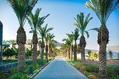 The Setai Sea of Galilee Outside 7 Outside 7 The Setai Sea of Galilee