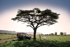 Afrika One Nature Hotel Baum