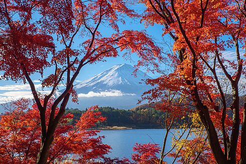 Rundreise Japan - Between Zen & Skyline   