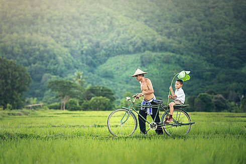 Vietnam -  Culture Rice and Beaches