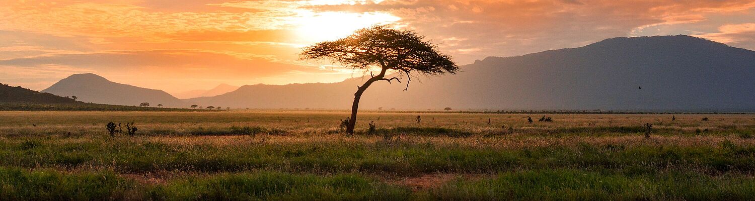 Kenia -  Juwel in the Wilderness