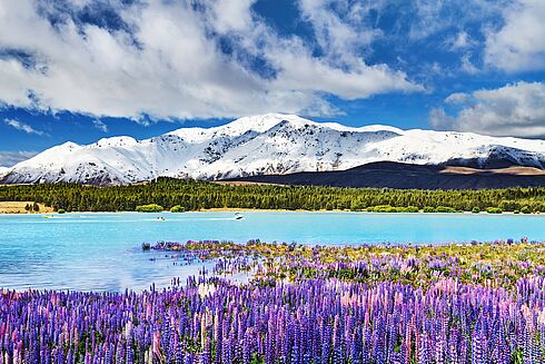 Rundreise Neuseeland - Aotearoa-Deluxe   