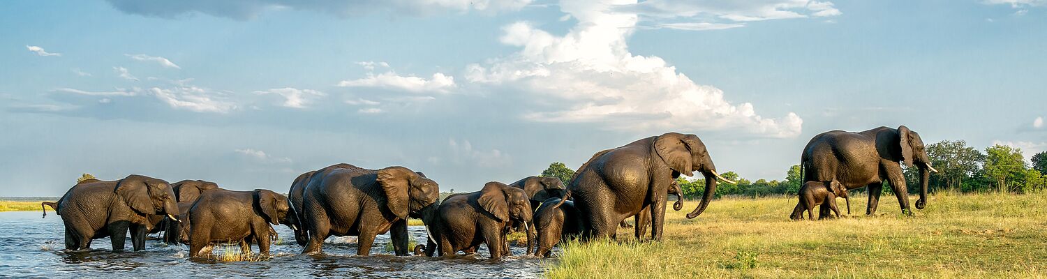 Rundreise Botswana - Zwischen Delta und Savanne   
