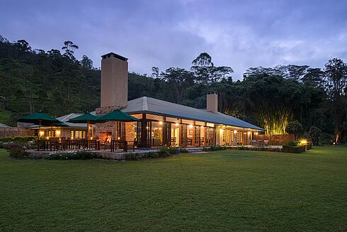 Nuwara Eliya -  Ceylon Tea Trails