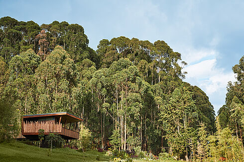 Vulcanic National Park - One&Only Gorillas Nest Vulcanic National Park - One&Only Gorillas Nest