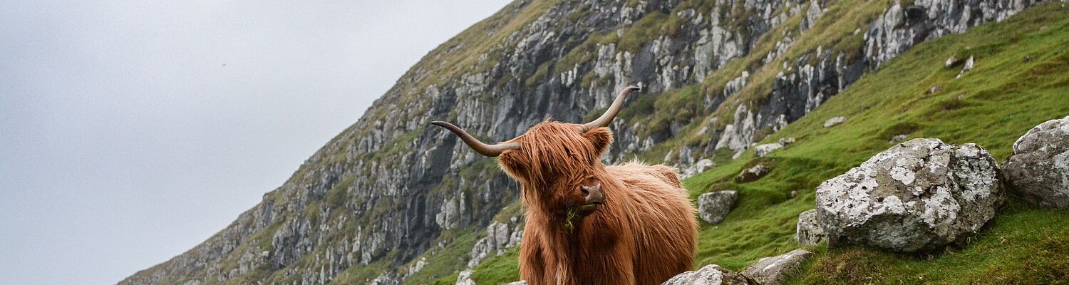 Schottland -  WIKINGER, WHISKY, WILDE KÜSTEN