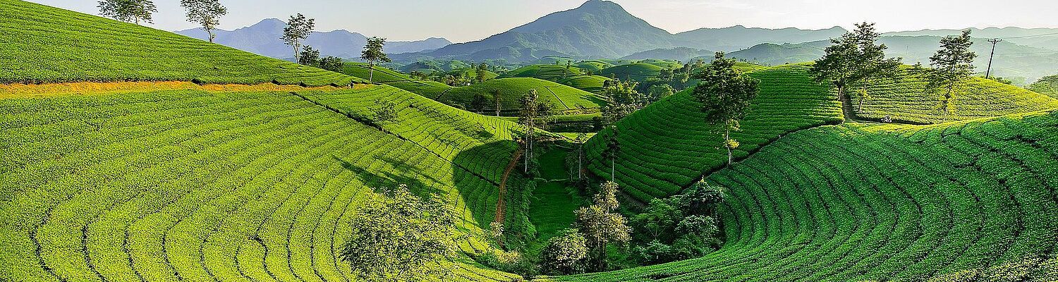 Sri Lanka -  Garden Eden