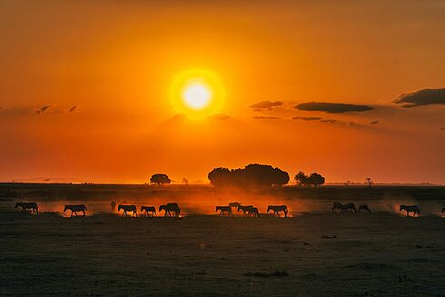 Kenia   
