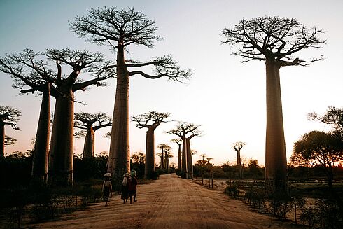 Madagaskar   