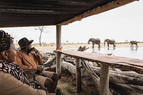 Hwange Nationalpark -  Little Makalolo Camp