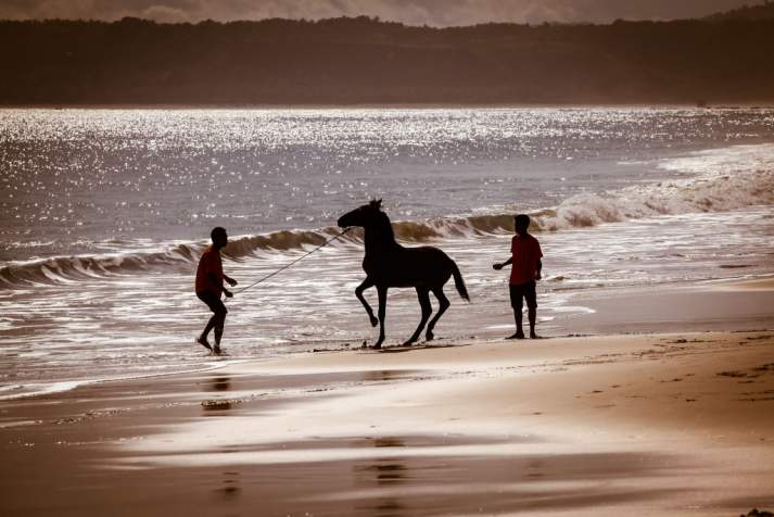 Sumba Strand Reiten