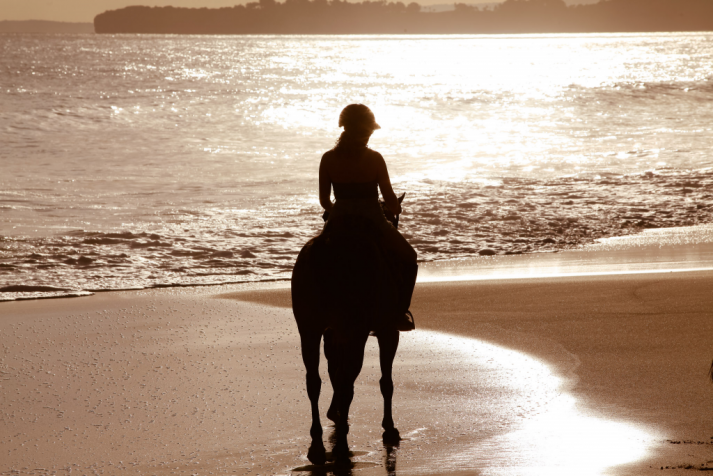 Sumba Strand Reiten