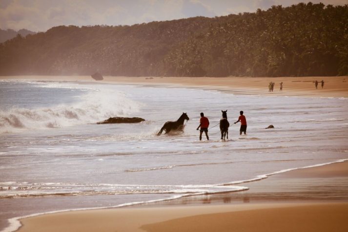 Sumba Strand Reiten