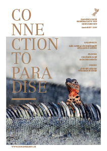Connection to Paradise 117